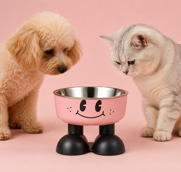Stylish Raised Pet Feeder Bowls