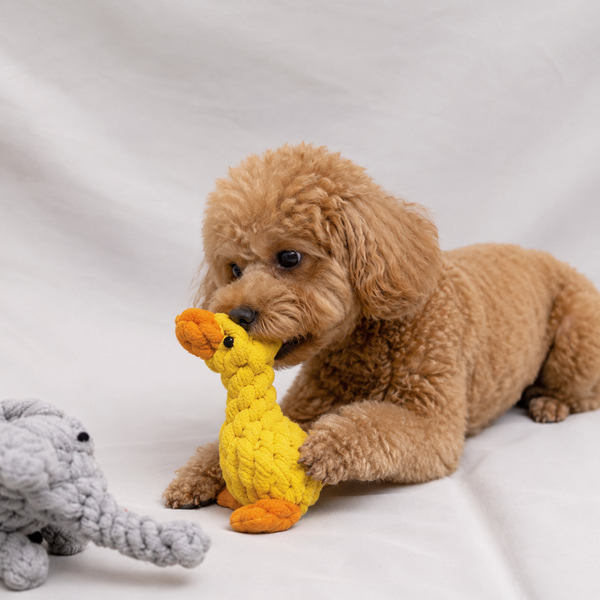 Durable Dog Chew Fun Ball