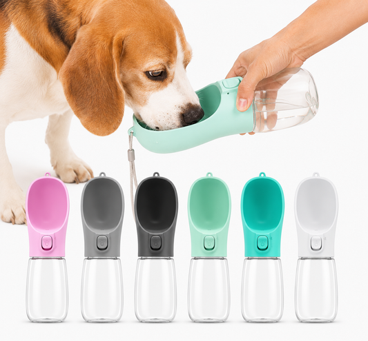 Portable Pet Hydration Bottle