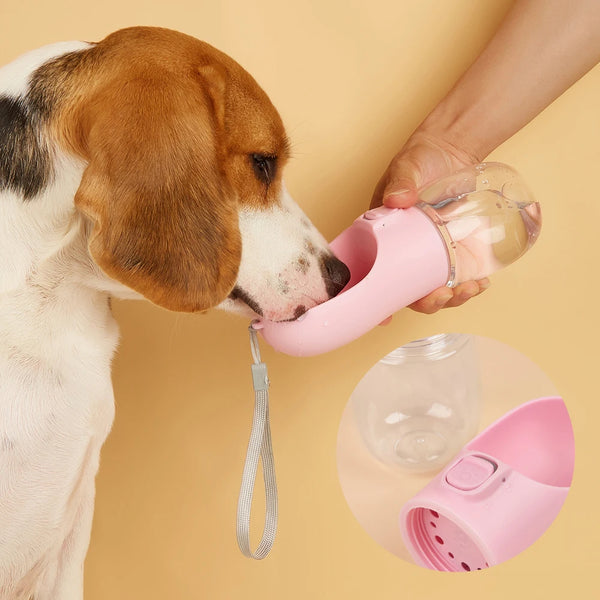 Portable Pet Hydration Bottle